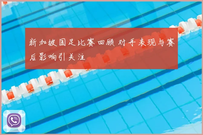 新加坡国足比赛回顾 对手表现与赛后影响引关注